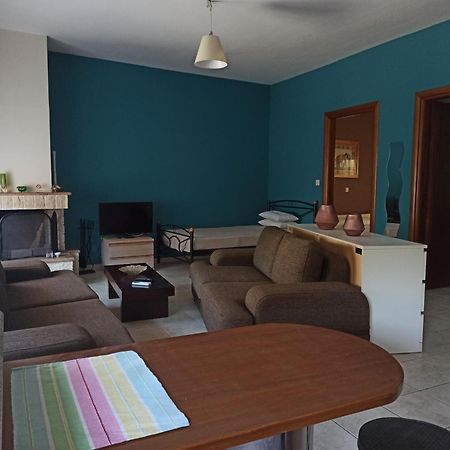 Litochoro Apartment Buitenkant foto